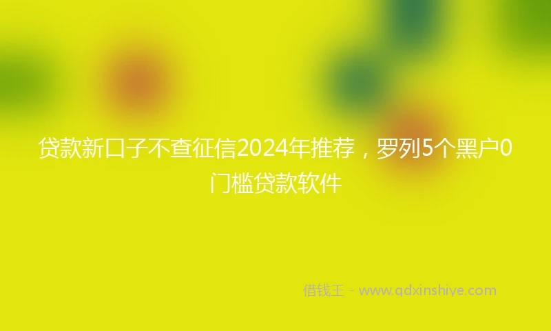 贷款新口子不查征信2024年推荐,罗列5个黑户0门槛贷款软件