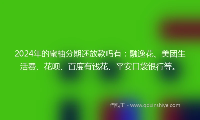 2024年的蜜柚分期还放款吗有：融逸花、美团生活费、花呗、百度有钱花、平安口袋银行等。