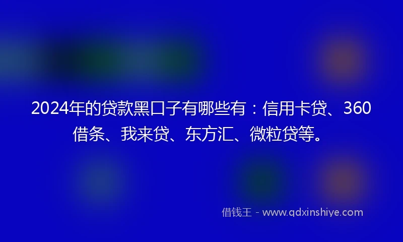 2024年的贷款黑口子有哪些有：信用卡贷、360借条、我来贷、东方汇、微粒贷等。