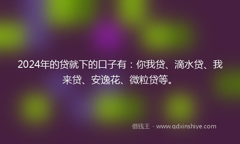 2024年的贷就下的口子有：你我贷、滴水贷、我来贷、安逸花、微粒贷等。