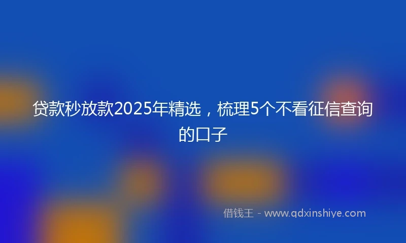 贷款秒放款2025年精选，梳理5个不看征信查询的口子