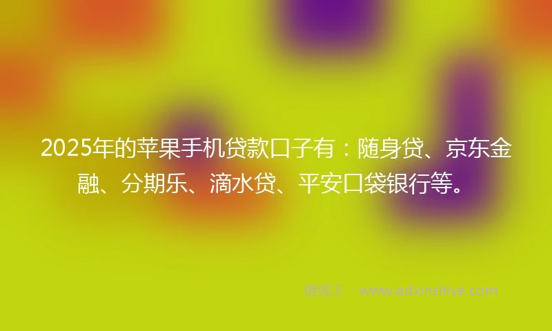 2025年的苹果手机贷款口子有：随身贷、京东金融、分期乐、滴水贷、平安口袋银行等。