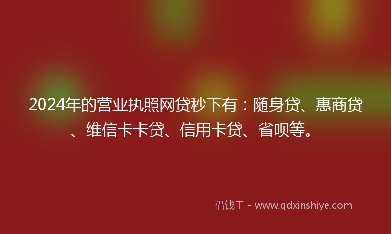 2024年的营业执照网贷秒下有：随身贷、惠商贷、维信卡卡贷、信用卡贷、省呗等。