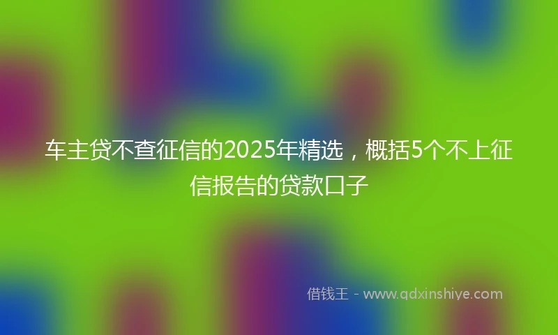 车主贷不查征信的2025年精选，概括5个不上征信报告的贷款口子