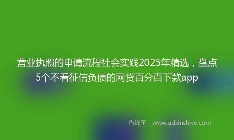 营业执照的申请流程社会实践2025年精选，盘点5个不看征信负债的网贷百分百下款app
