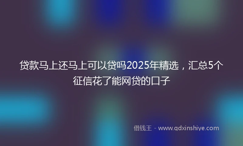 贷款马上还马上可以贷吗2025年精选，汇总5个征信花了能网贷的口子