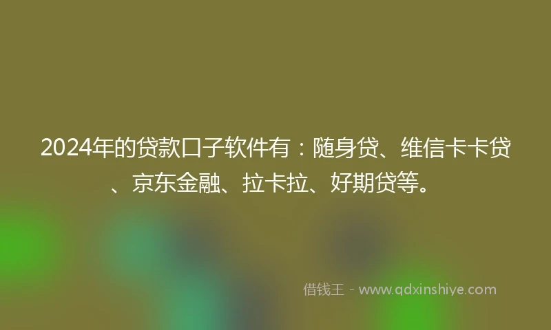2024年的贷款口子软件有：随身贷、维信卡卡贷、京东金融、拉卡拉、好期贷等。