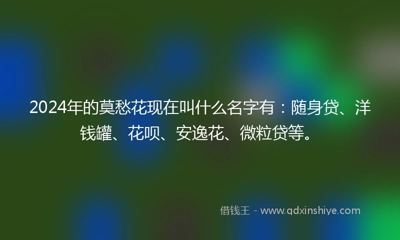 2024年的莫愁花现在叫什么名字有：随身贷、洋钱罐、花呗、安逸花、微粒贷等。