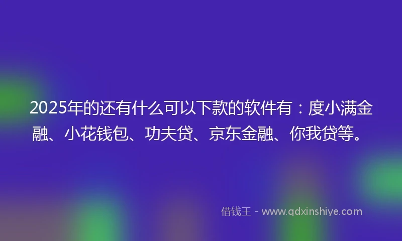 2025年的还有什么可以下款的软件有：度小满金融、小花钱包、功夫贷、京东金融、你我贷等。
