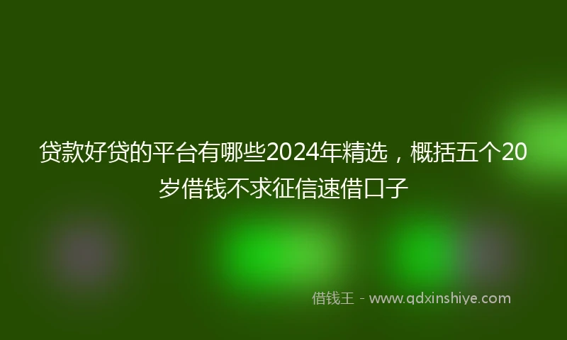 贷款好贷的平台有哪些2024年精选，概括五个20岁借钱不求征信速借口子