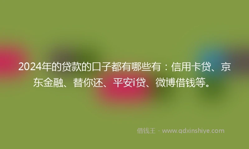 2024年的贷款的口子都有哪些有：信用卡贷、京东金融、替你还、平安i贷、微博借钱等。