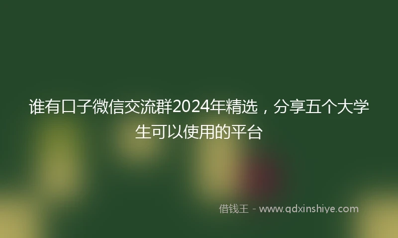 谁有口子微信交流群2024年精选，分享五个大学生可以使用的平台