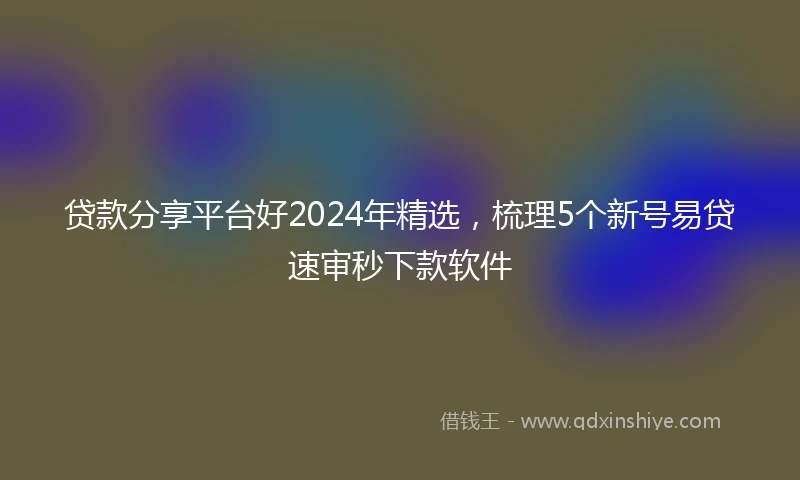贷款分享平台好2024年精选，梳理5个新号易贷速审秒下款软件