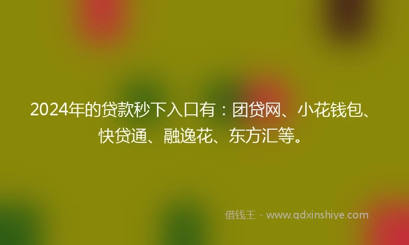 2024年的贷款秒下入口有：团贷网、小花钱包、快贷通、融逸花、东方汇等。