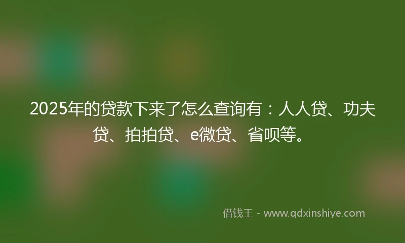 2025年的贷款下来了怎么查询有：人人贷、功夫贷、拍拍贷、e微贷、省呗等。