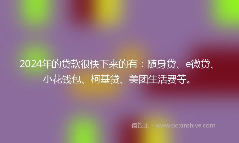 2024年的贷款很快下来的有：随身贷、e微贷、小花钱包、柯基贷、美团生活费等。