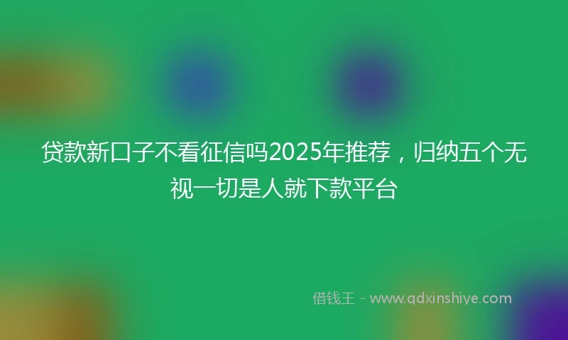 贷款新口子不看征信吗2025年推荐，归纳五个无视一切是人就下款平台