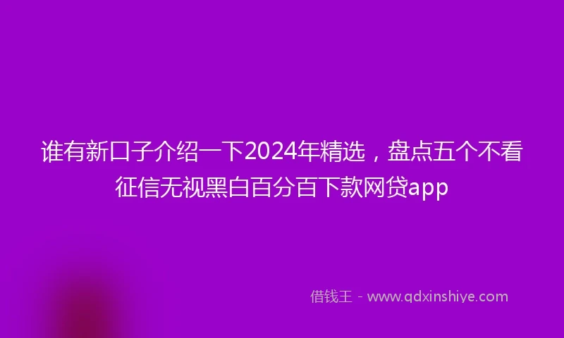 谁有新口子介绍一下2024年精选，盘点五个不看征信无视黑白百分百下款网贷app