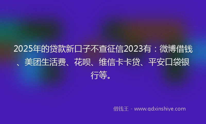 2025年的贷款新口子不查征信2023有：微博借钱、美团生活费、花呗、维信卡卡贷、平安口袋银行等。