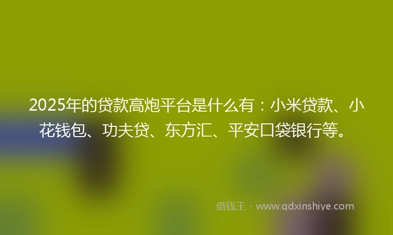 2025年的贷款高炮平台是什么有：小米贷款、小花钱包、功夫贷、东方汇、平安口袋银行等。