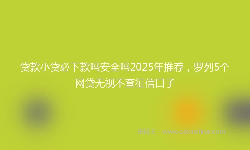 贷款小贷必下款吗安全吗2025年推荐，罗列5个网贷无视不查征信口子