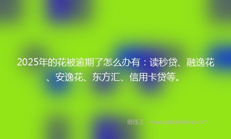 2025年的花被逾期了怎么办有：读秒贷、融逸花、安逸花、东方汇、信用卡贷等。
