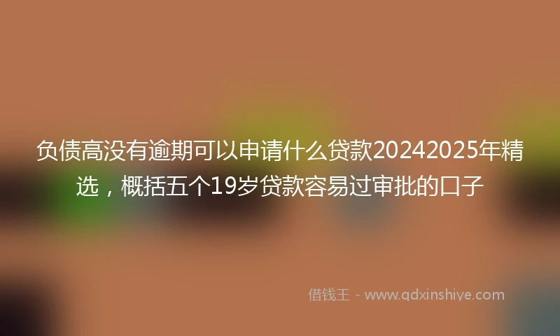 负债高没有逾期可以申请什么贷款20242025年精选，概括五个19岁贷款容易过审批的口子