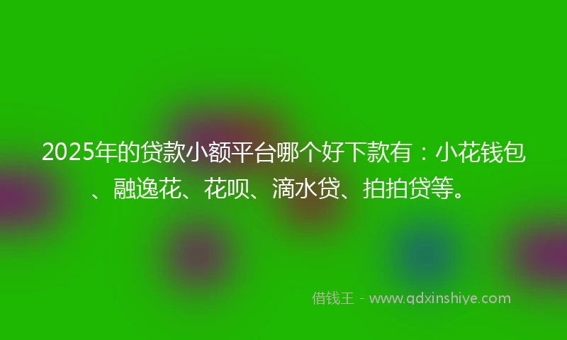 2025年的贷款小额平台哪个好下款有：小花钱包、融逸花、花呗、滴水贷、拍拍贷等。