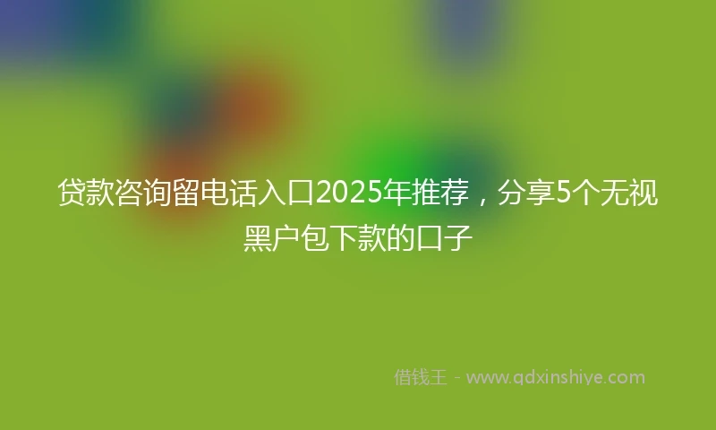 贷款咨询留电话入口2025年推荐，分享5个无视黑户包下款的口子