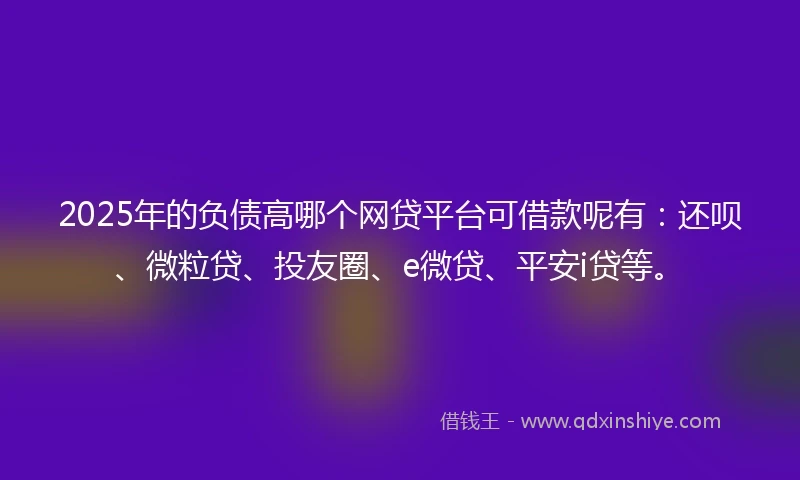 2025年的负债高哪个网贷平台可借款呢有：还呗、微粒贷、投友圈、e微贷、平安i贷等。