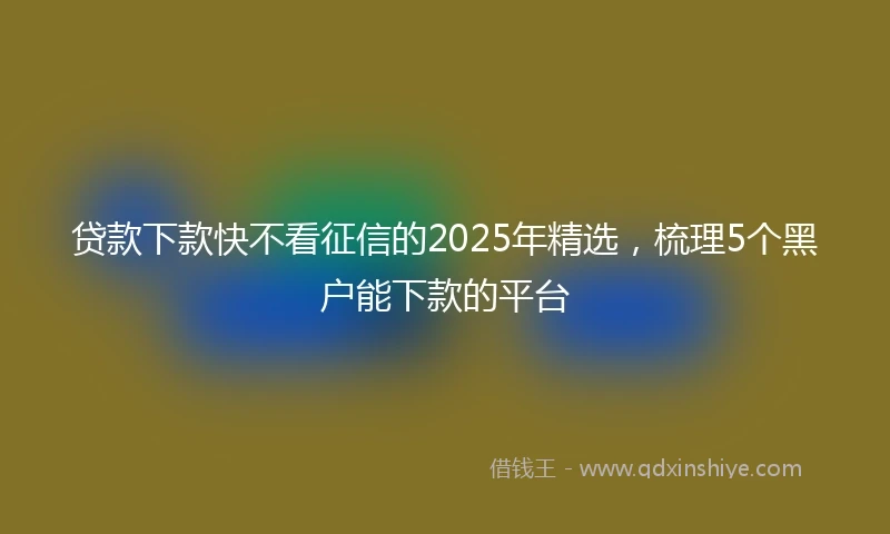 贷款下款快不看征信的2025年精选，梳理5个黑户能下款的平台