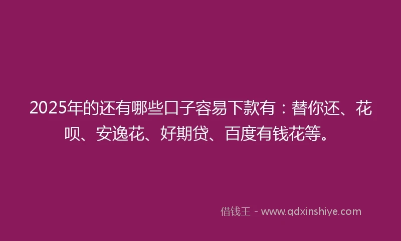 2025年的还有哪些口子容易下款有：替你还、花呗、安逸花、好期贷、百度有钱花等。