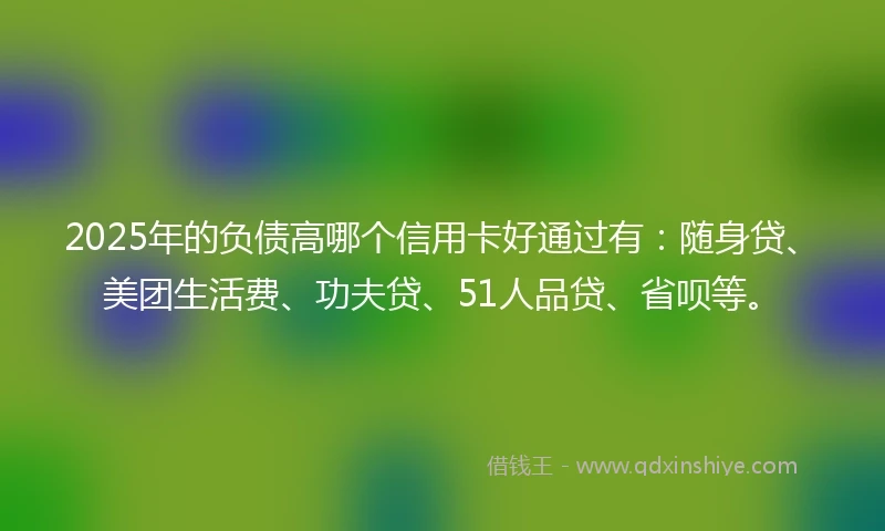 2025年的负债高哪个信用卡好通过有：随身贷、美团生活费、功夫贷、51人品贷、省呗等。
