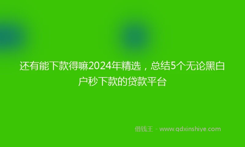 还有能下款得嘛2024年精选，总结5个无论黑白户秒下款的贷款平台