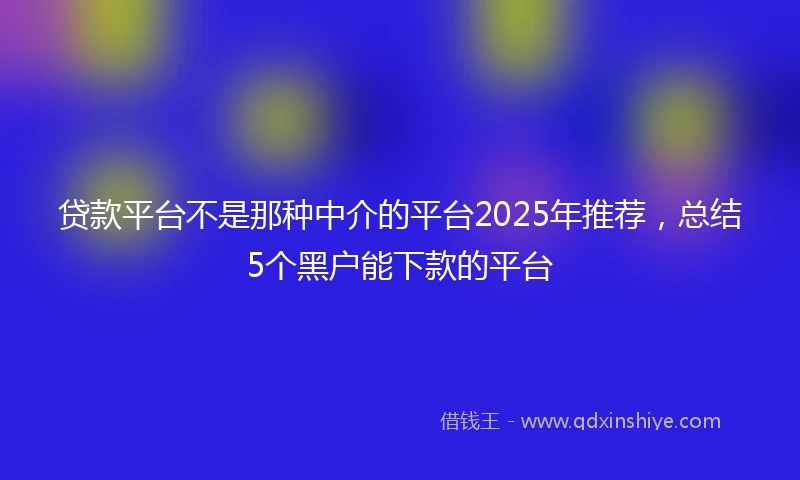 贷款平台不是那种中介的平台2025年推荐，总结5个黑户能下款的平台