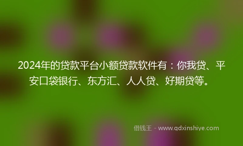 2024年的贷款平台小额贷款软件有：你我贷、平安口袋银行、东方汇、人人贷、好期贷等。