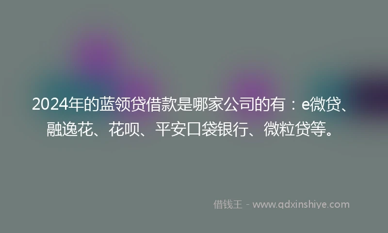 2024年的蓝领贷借款是哪家公司的有：e微贷、融逸花、花呗、平安口袋银行、微粒贷等。