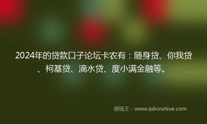 2024年的贷款口子论坛卡农有：随身贷、你我贷、柯基贷、滴水贷、度小满金融等。