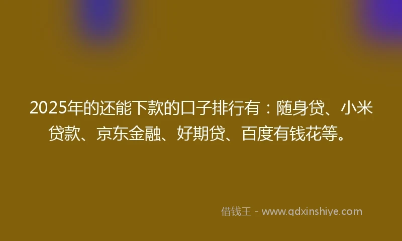 2025年的还能下款的口子排行有：随身贷、小米贷款、京东金融、好期贷、百度有钱花等。