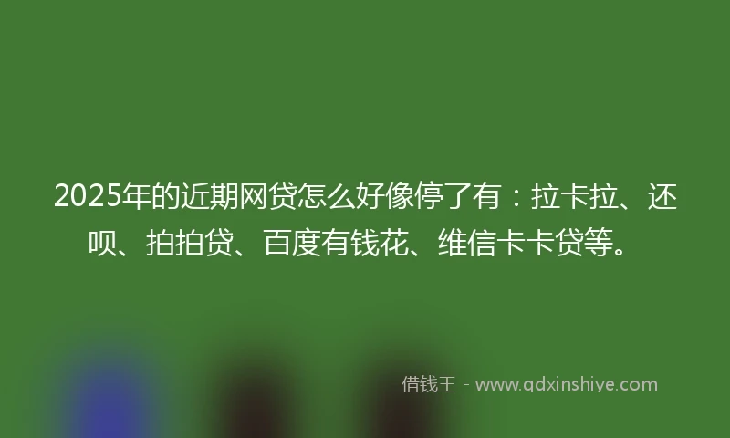 2025年的近期网贷怎么好像停了有：拉卡拉、还呗、拍拍贷、百度有钱花、维信卡卡贷等。