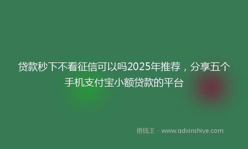 贷款秒下不看征信可以吗2025年推荐，分享五个手机支付宝小额贷款的平台