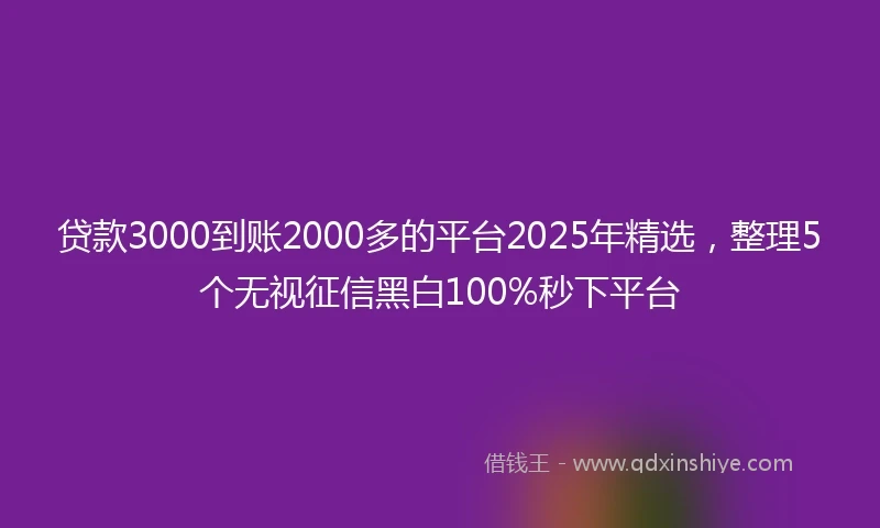 贷款3000到账2000多的平台2025年精选，整理5个无视征信黑白100%秒下平台