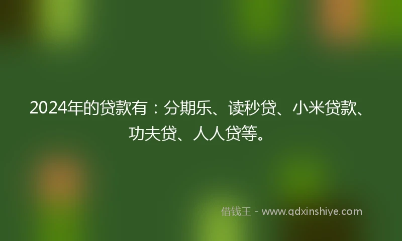 2024年的贷款有：分期乐、读秒贷、小米贷款、功夫贷、人人贷等。
