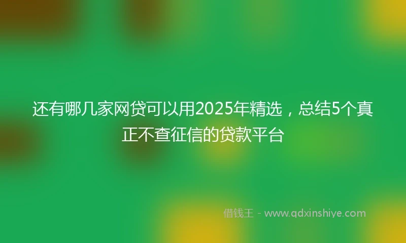 还有哪几家网贷可以用2025年精选，总结5个真正不查征信的贷款平台