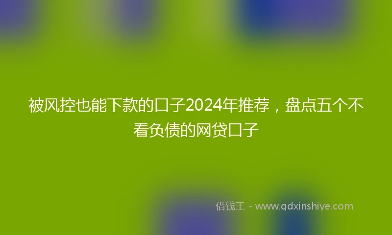 被风控也能下款的口子2024年推荐，盘点五个不看负债的网贷口子