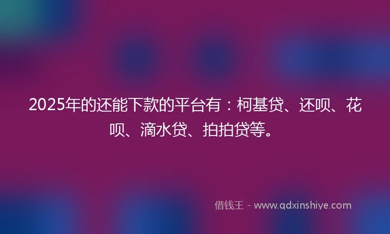 2025年的还能下款的平台有：柯基贷、还呗、花呗、滴水贷、拍拍贷等。