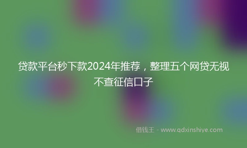 贷款平台秒下款2024年推荐，整理五个网贷无视不查征信口子