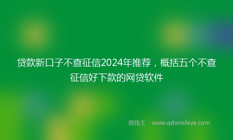 贷款新口子不查征信2024年推荐，概括五个不查征信好下款的网贷软件