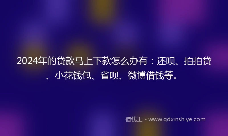 2024年的贷款马上下款怎么办有：还呗、拍拍贷、小花钱包、省呗、微博借钱等。