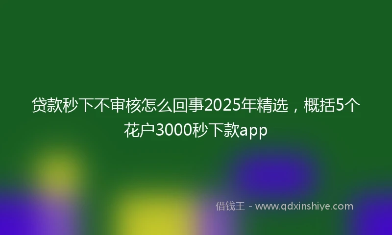 贷款秒下不审核怎么回事2025年精选，概括5个花户3000秒下款app